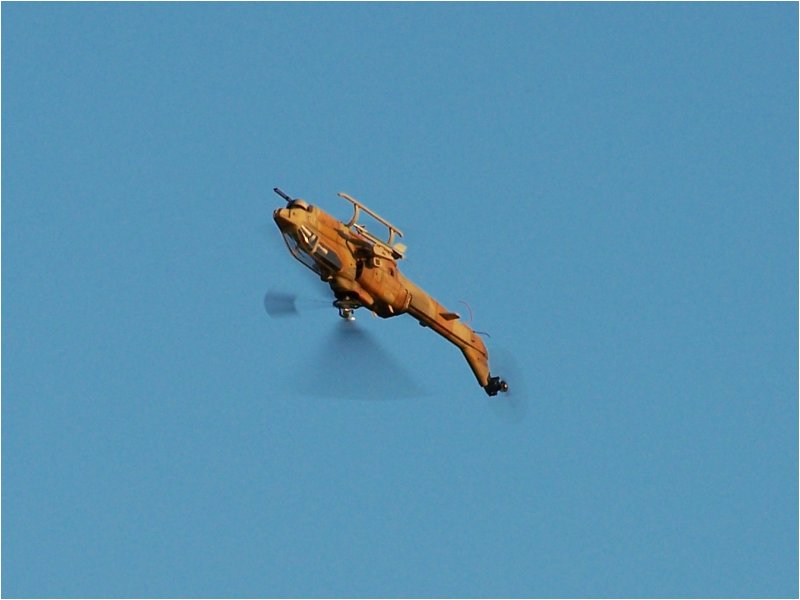 Scale-Heli auf dem Kopf (nein ich habe nicht an dem Bild herummmnipuliert)