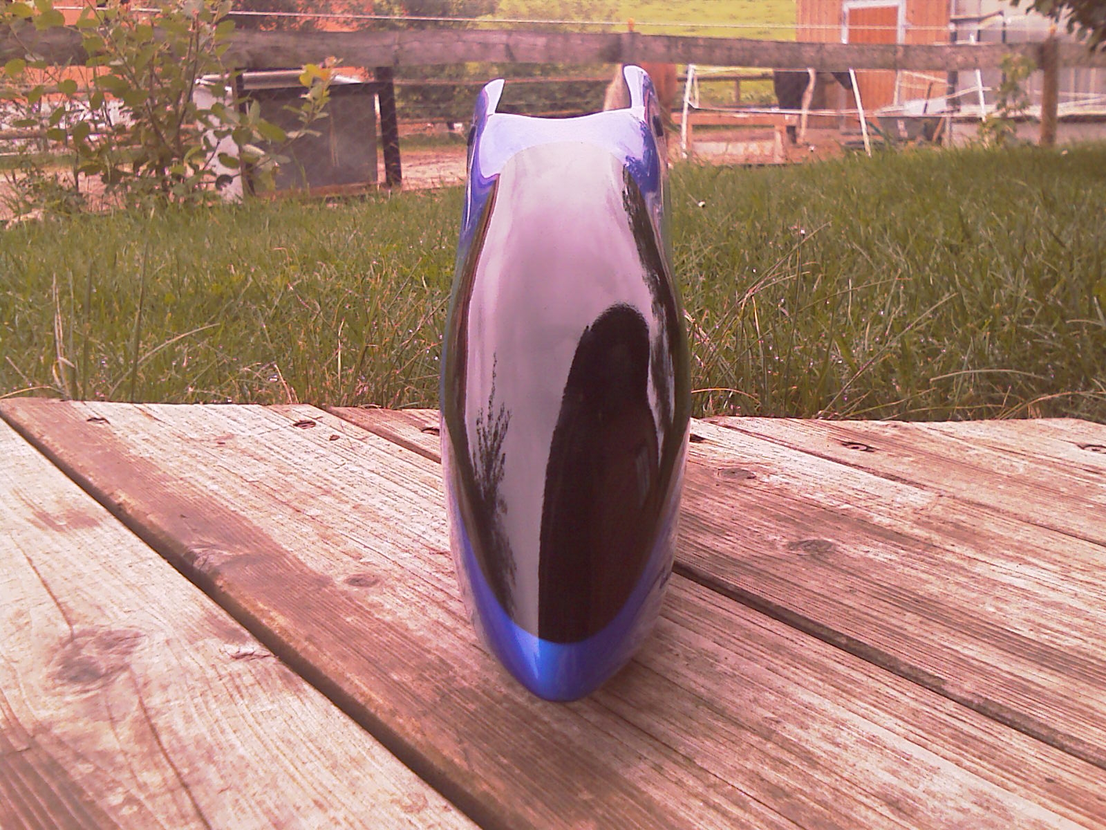 IMAG0054.jpg