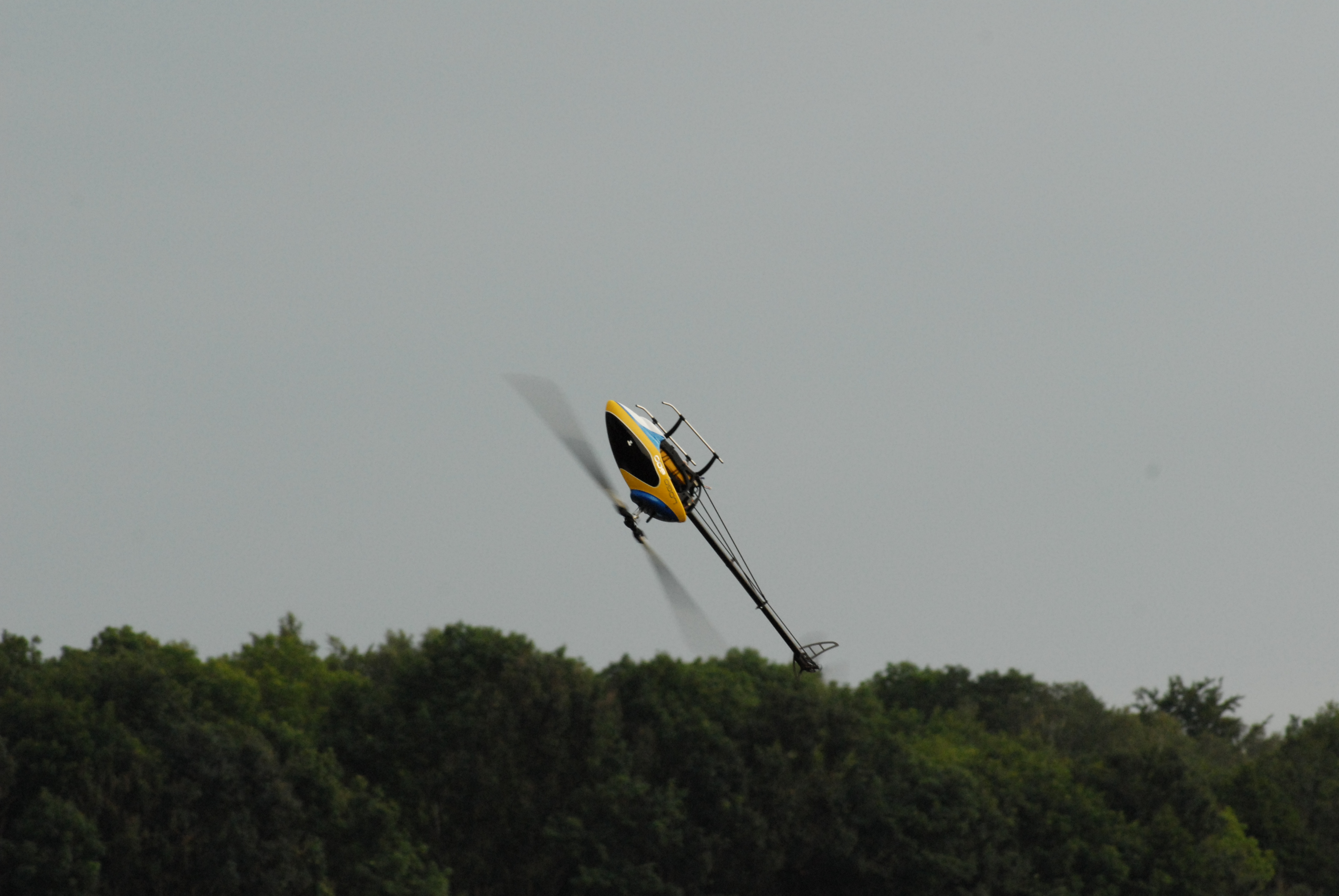 DSC_4987.JPG