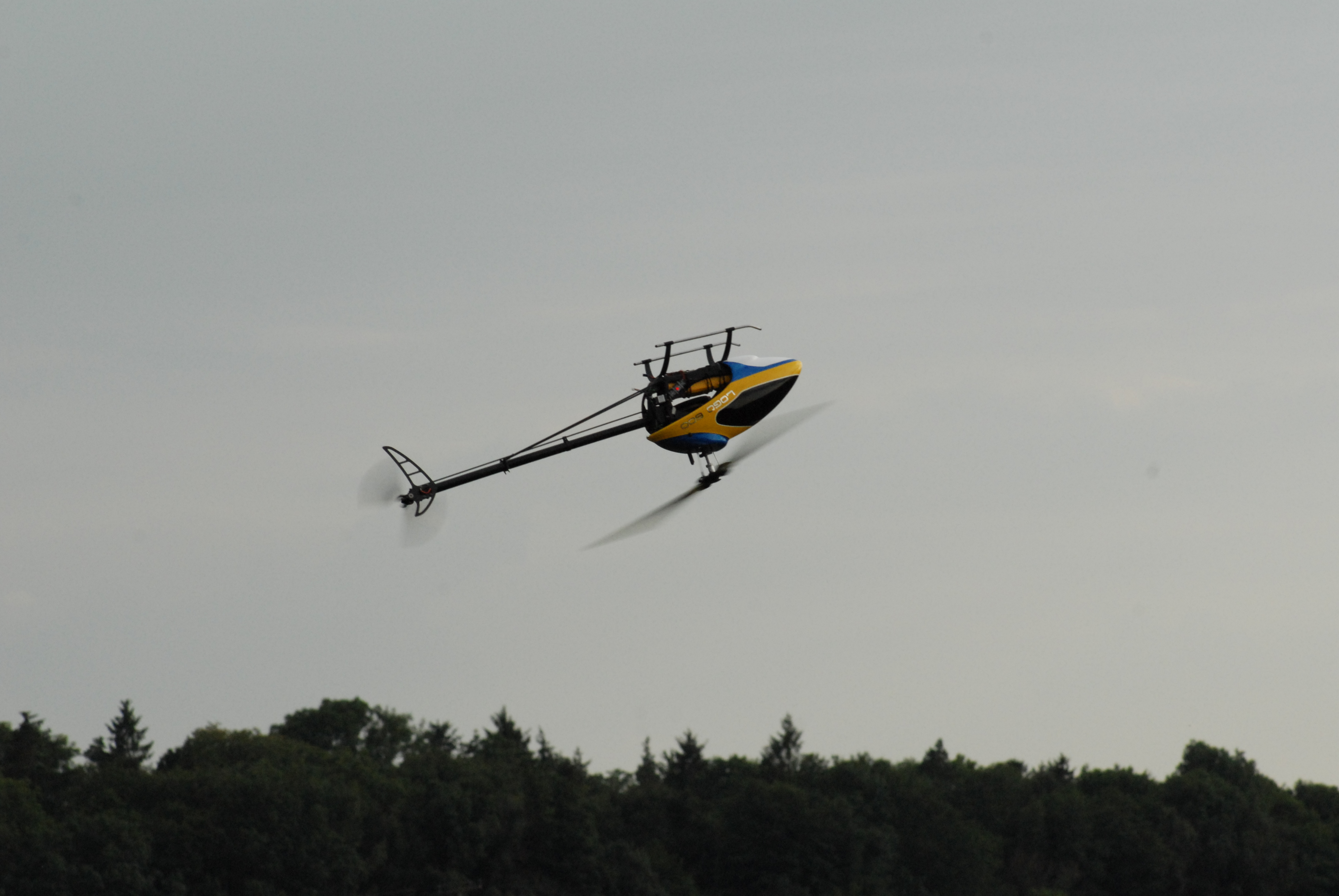 DSC_4986.JPG
