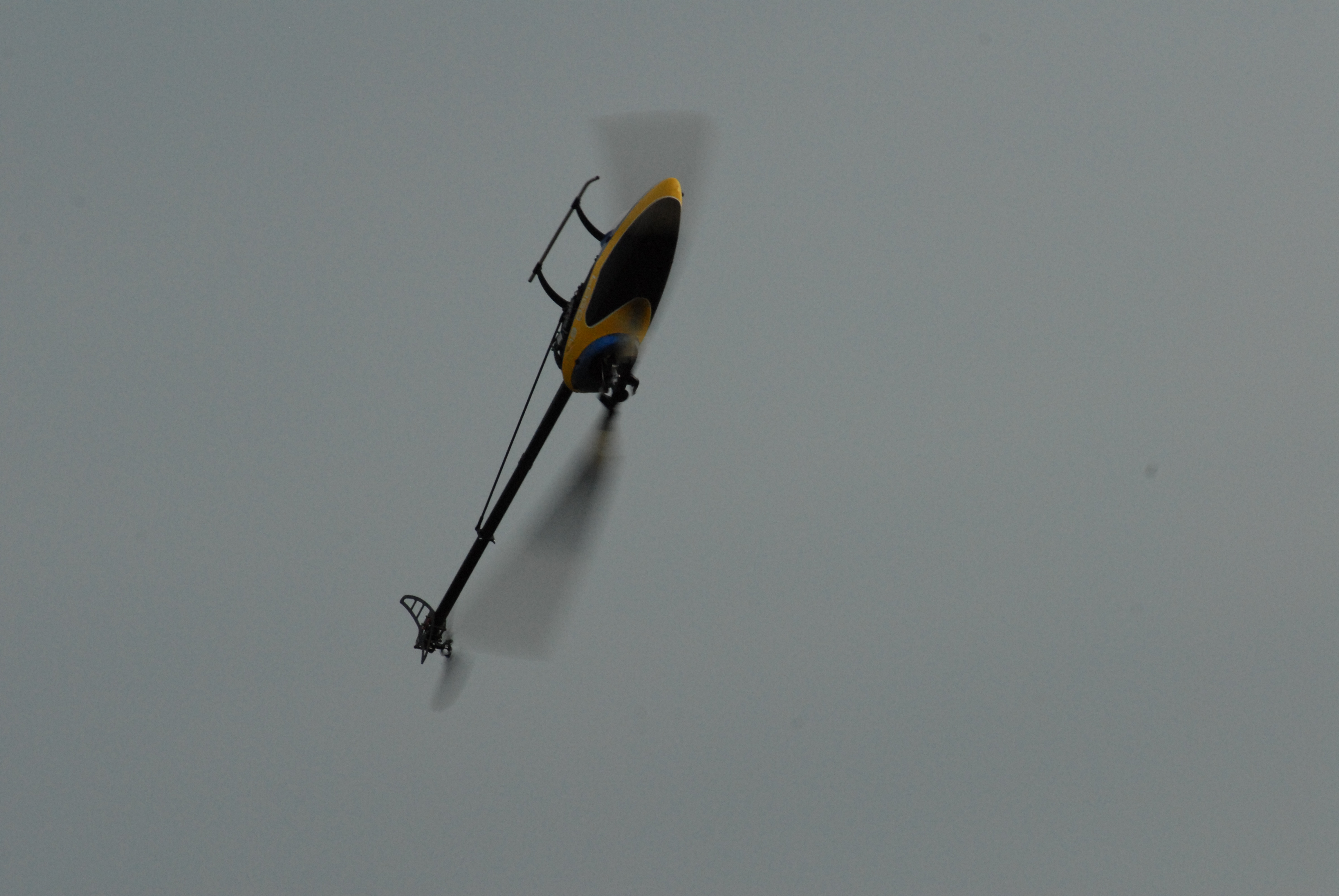 DSC_4985.JPG