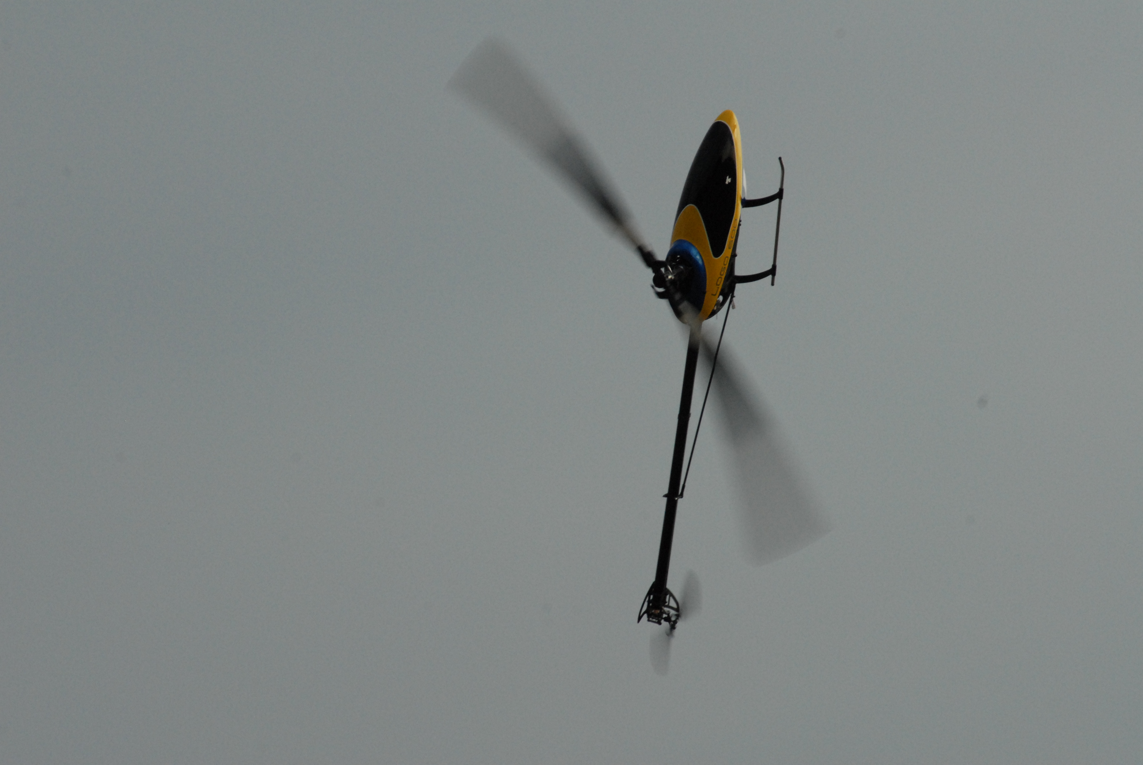 DSC_4984.JPG