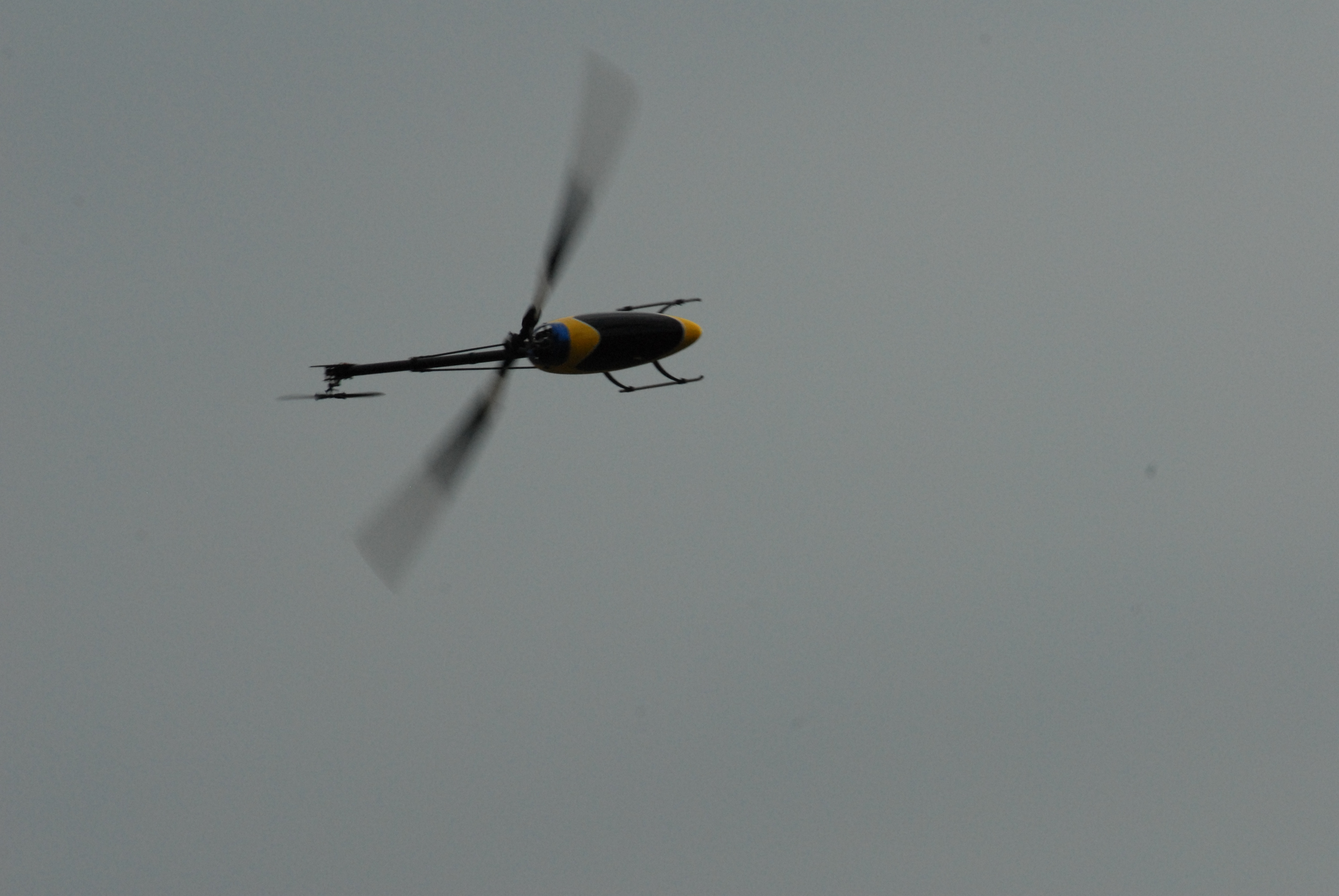 DSC_4983.JPG