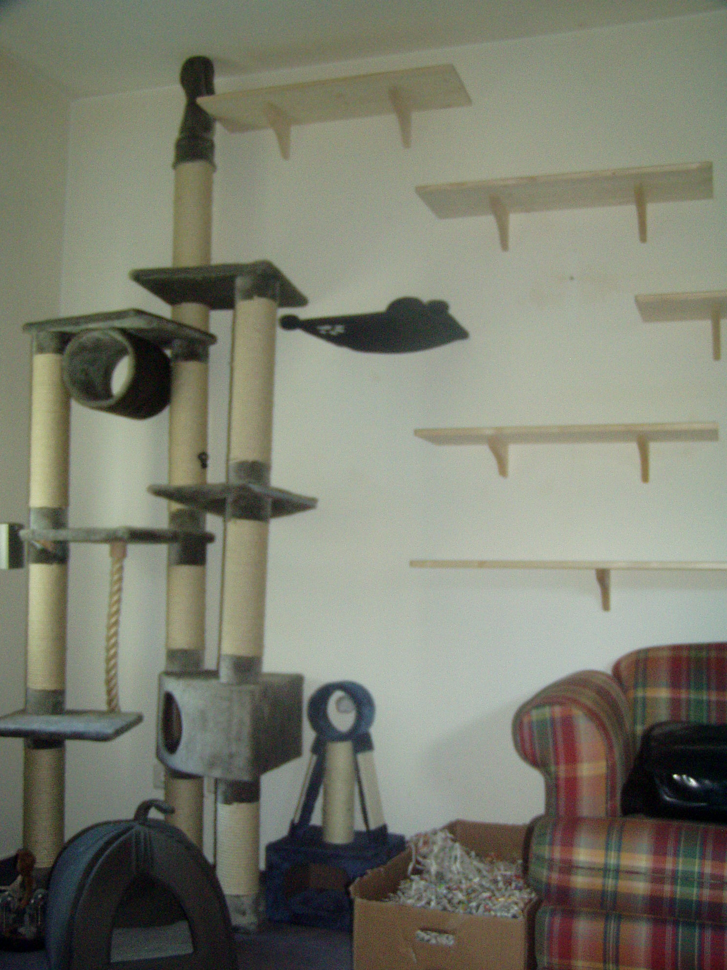 WoZi-Wand linke Seite