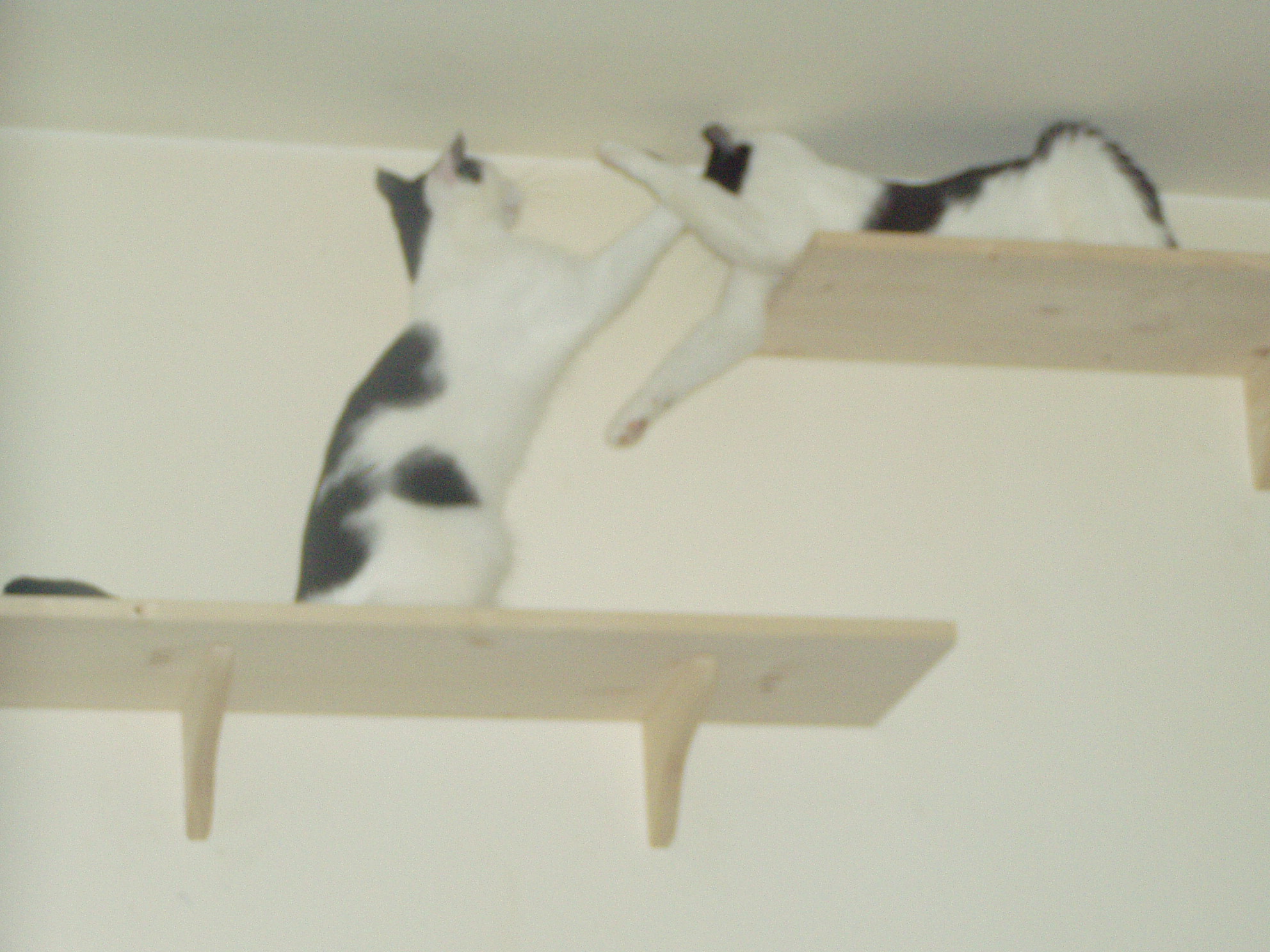 Klaus und Uschi