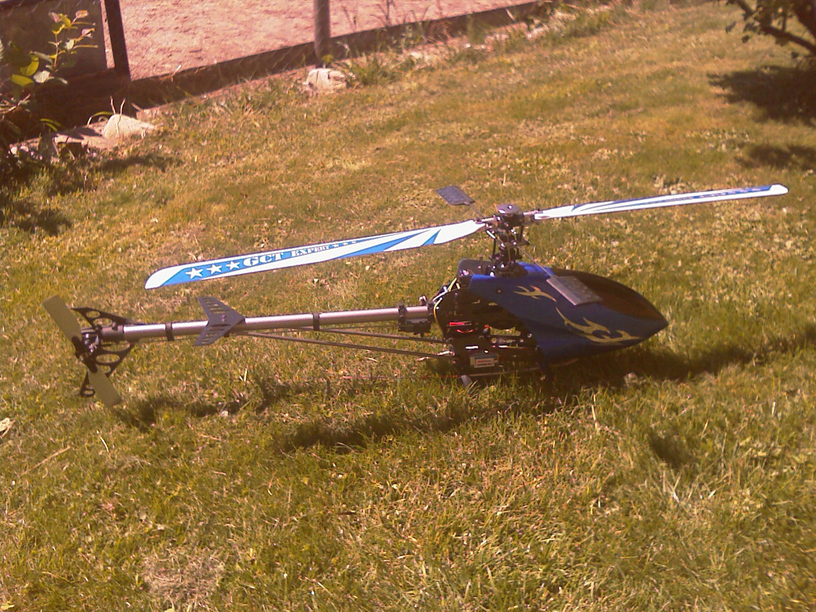 IMAG0055.jpg