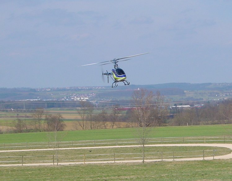 Rex im Flug 2.jpg