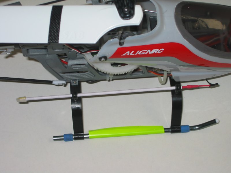 rex-ant-2.jpg