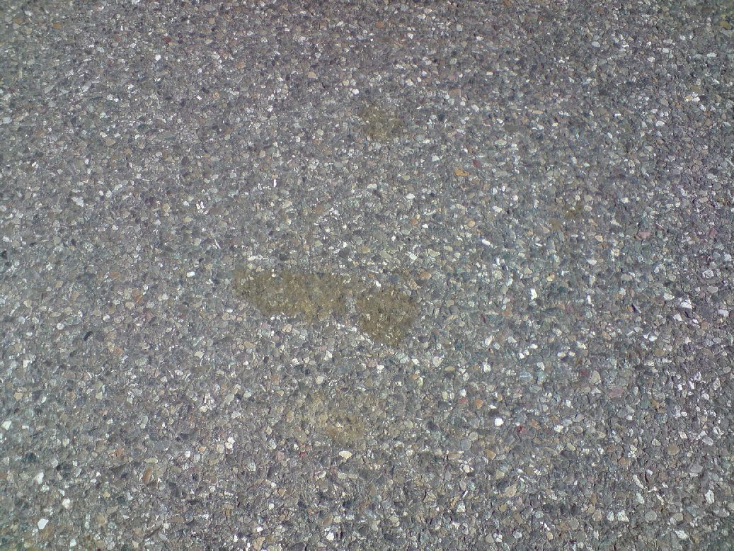 Einer von den Flecken, sind noch deutlich mehr da....