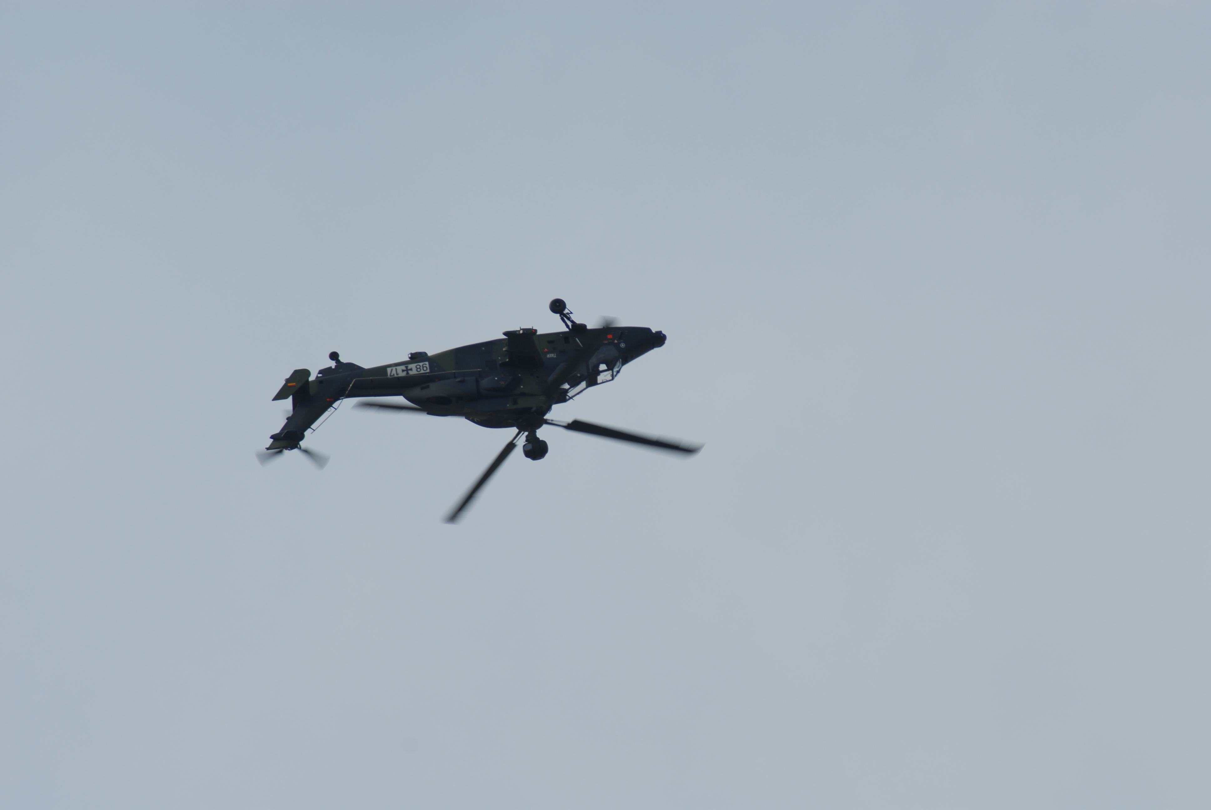 DSC_0250.JPG