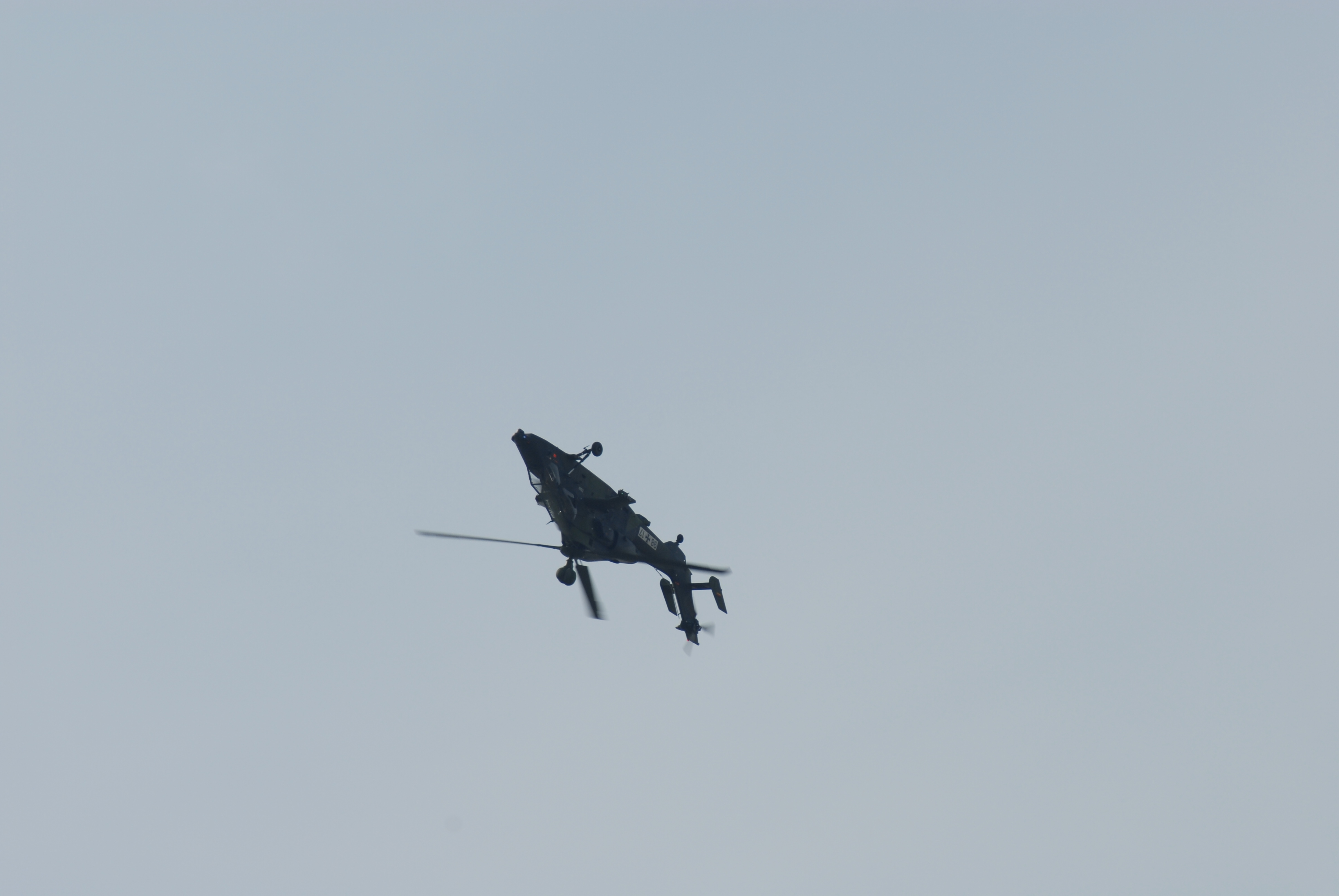 DSC_0261.JPG