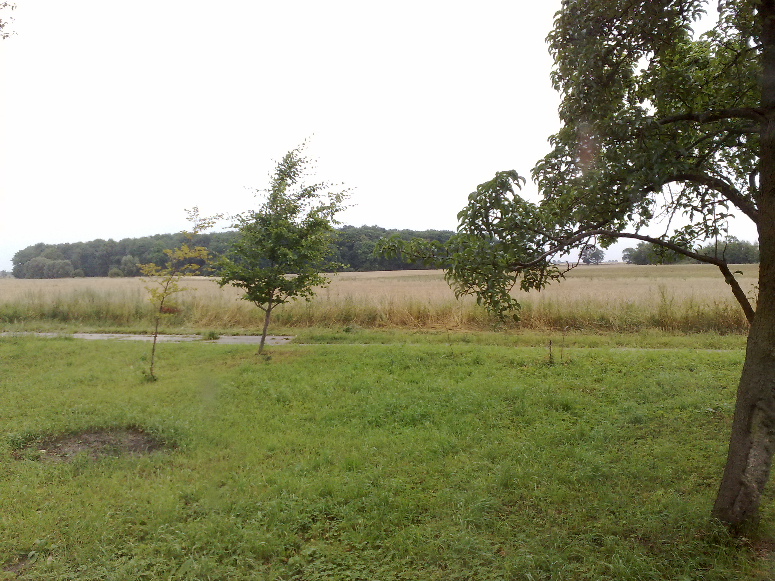 02082008329.jpg