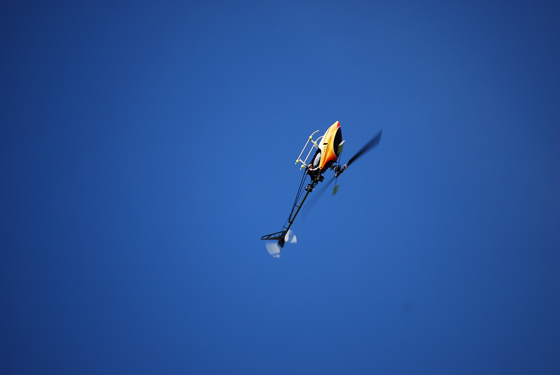 DSC_0178.JPG