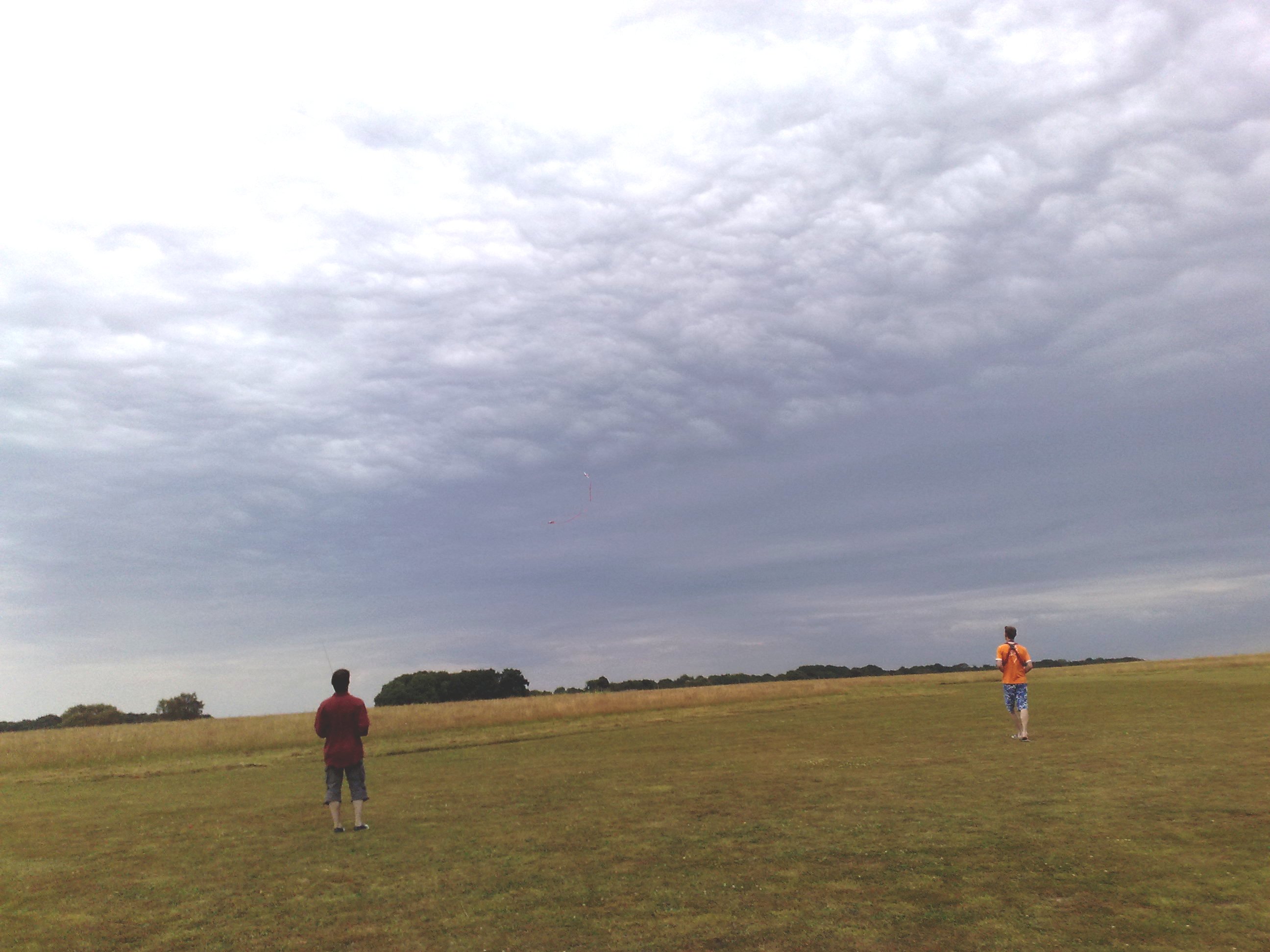 02082008352.jpg