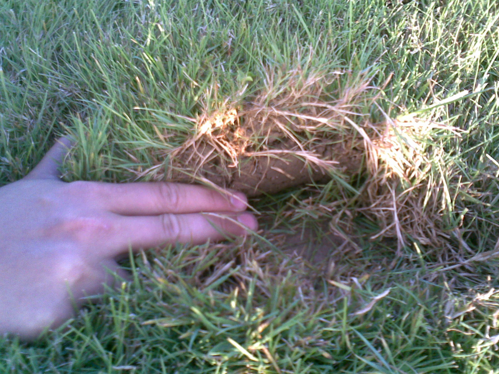 Ca 5 cm tief! Da kannste mit der Hand gleich reinfassen!