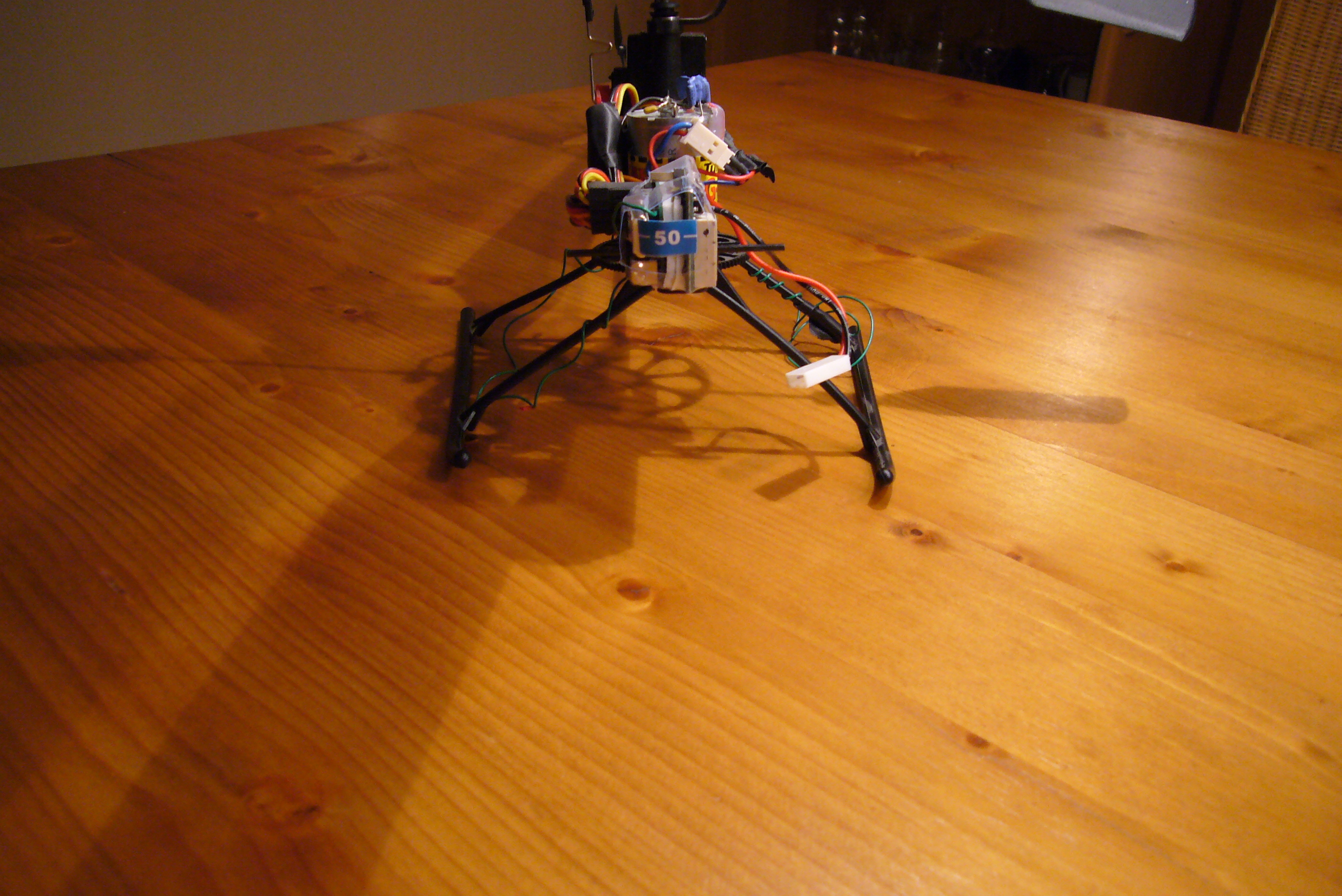 P1000716.JPG