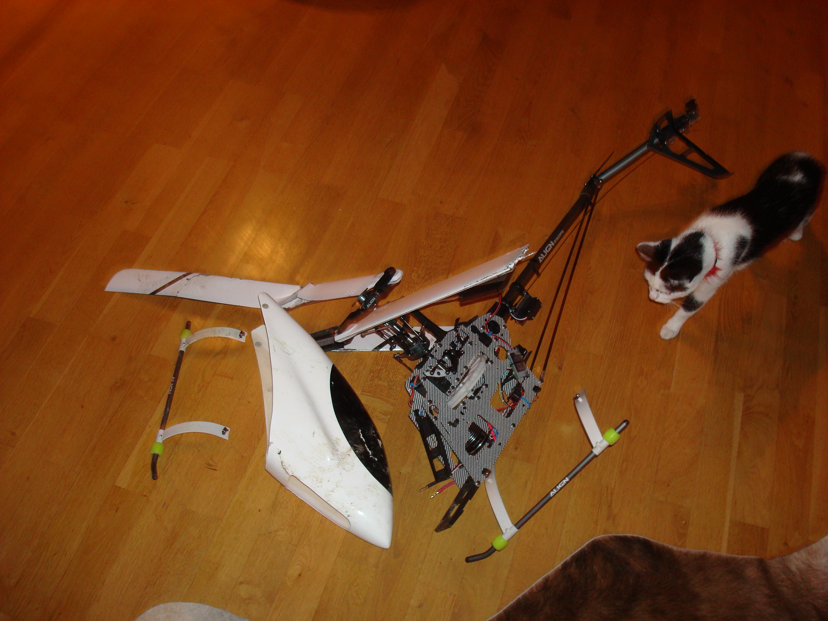 Selbst die Katze war entsetzt :-)