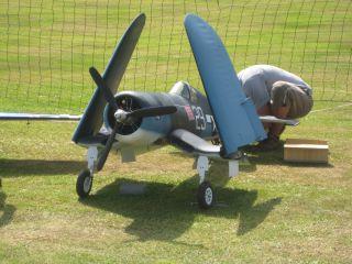 IMG_0905.jpg