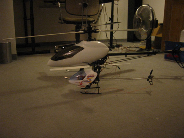 IMG_5288.jpg