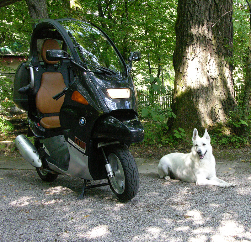 Sogar Snoopy mag die C1