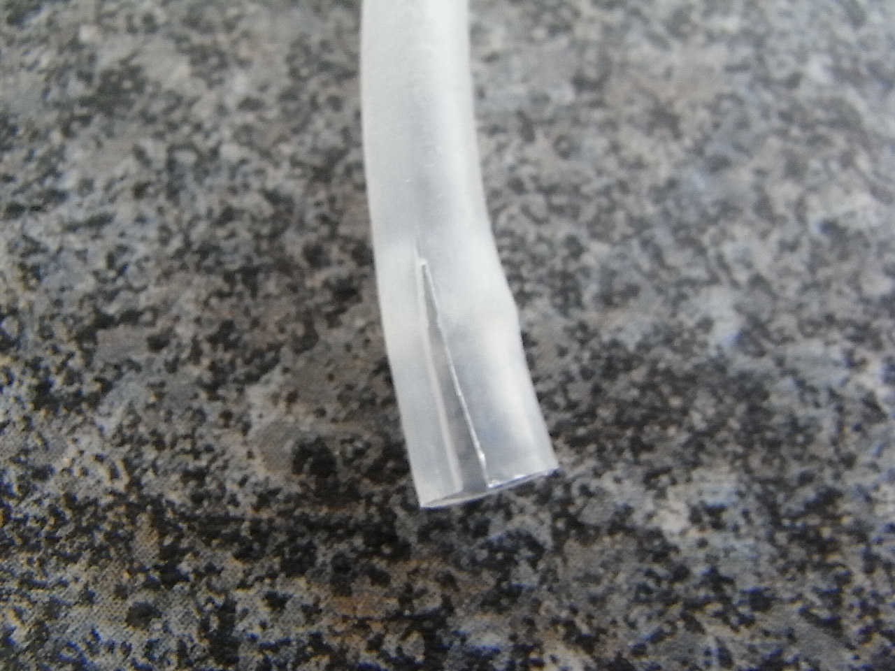 RIMG0011.JPG