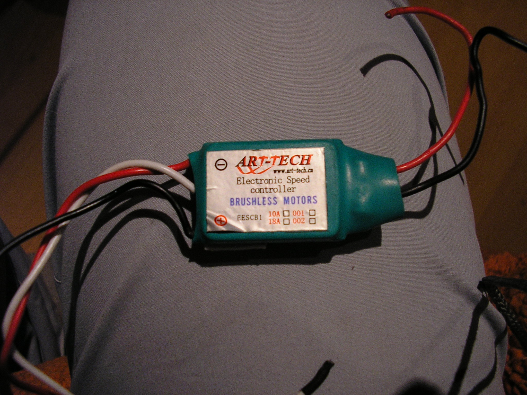 P1010021.JPG