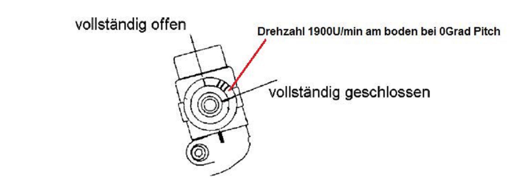 drosselküken.jpg