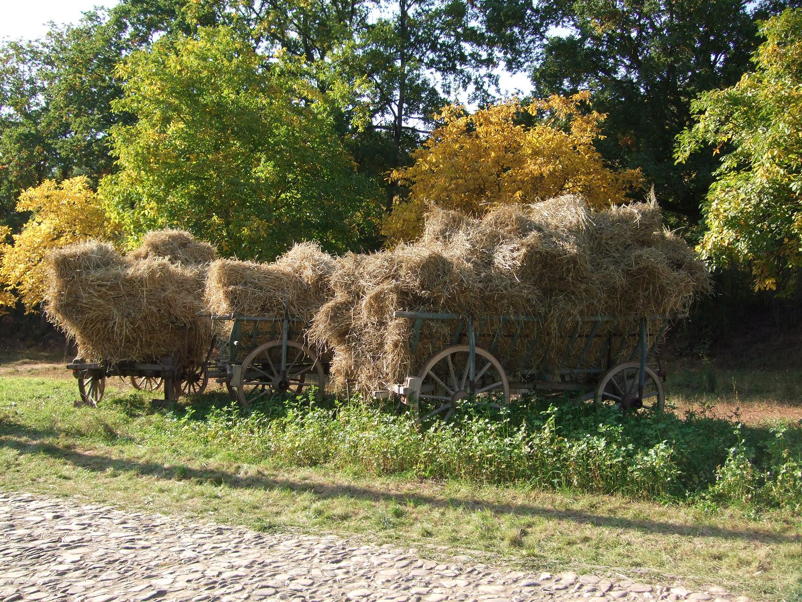 Stroh.jpg