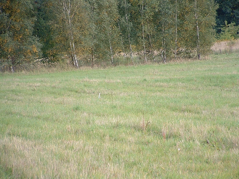 Suchbild2