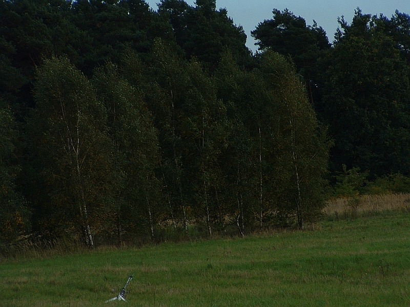 Suchbild1