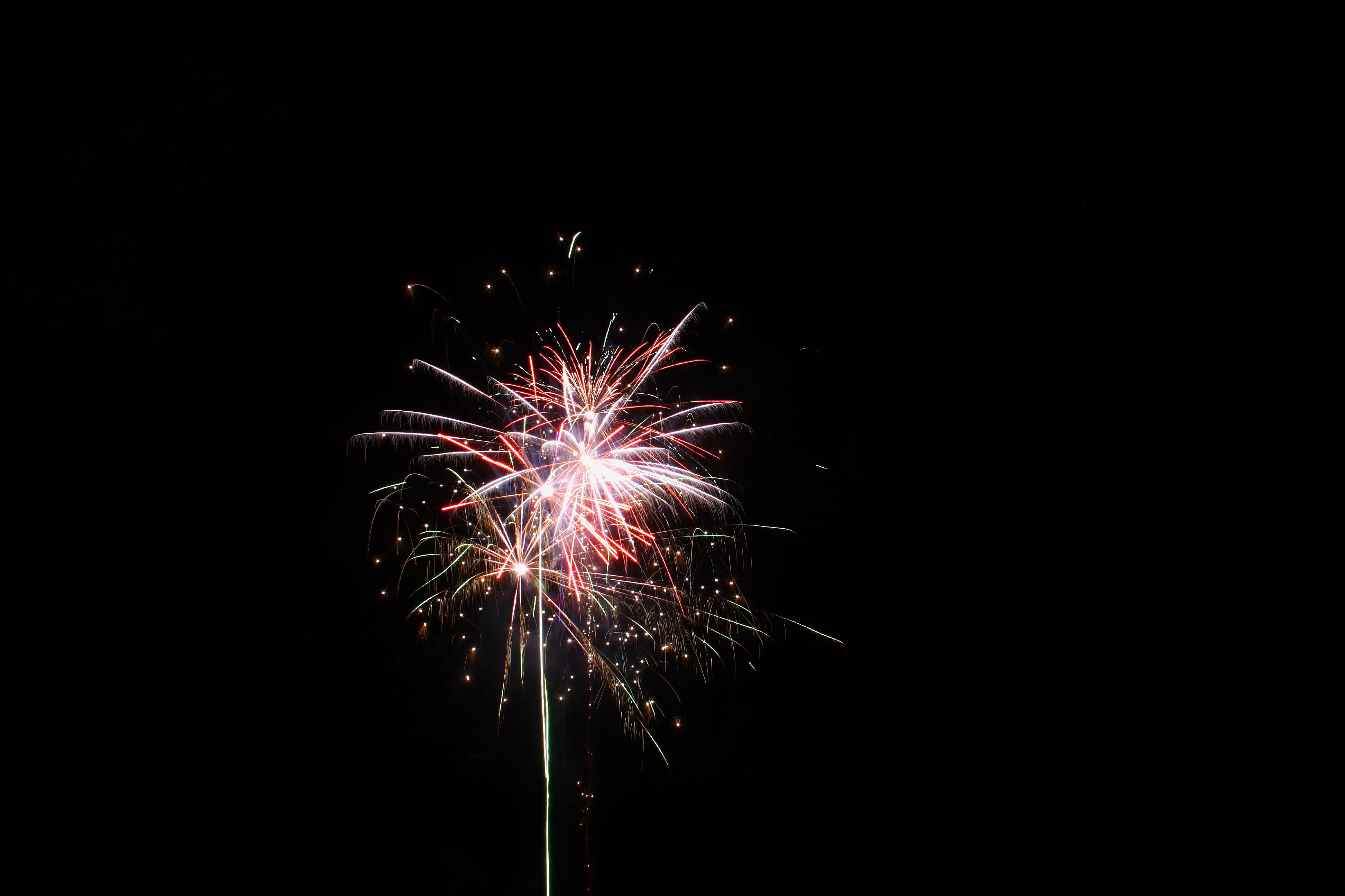 IMG_2573.JPG