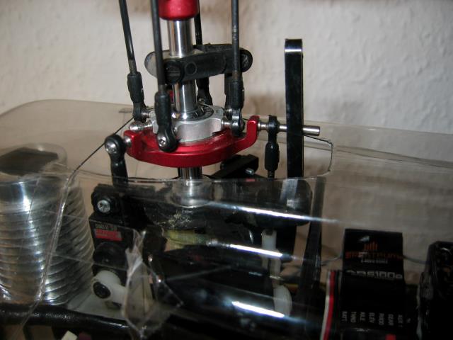 Rumpf2 007.jpg