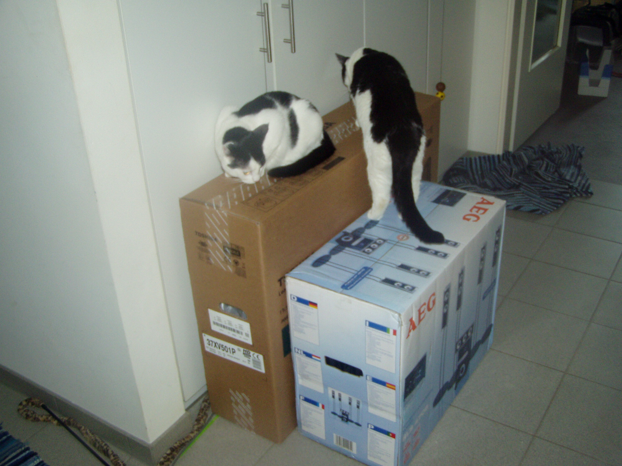 P1010001.JPG