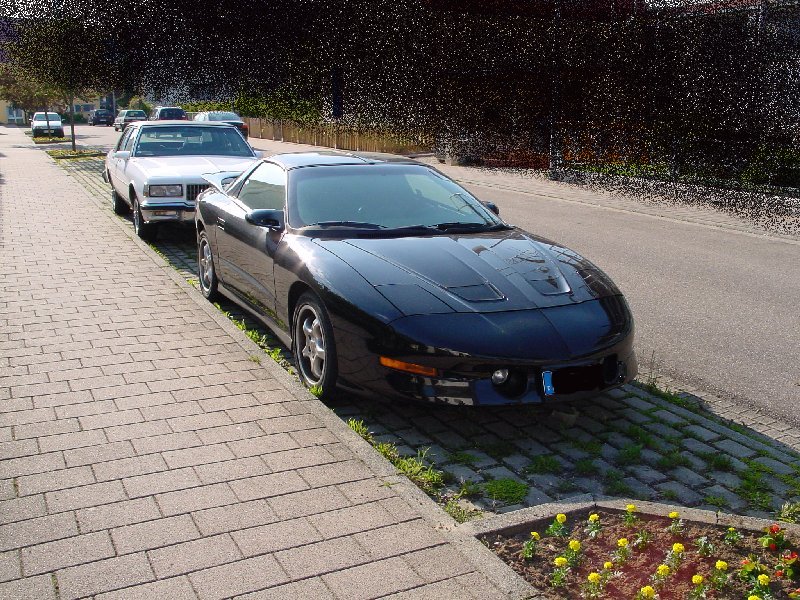TransAm.jpg