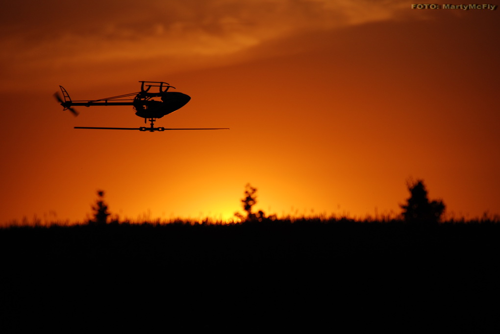 DSC_0399_lowres.jpg