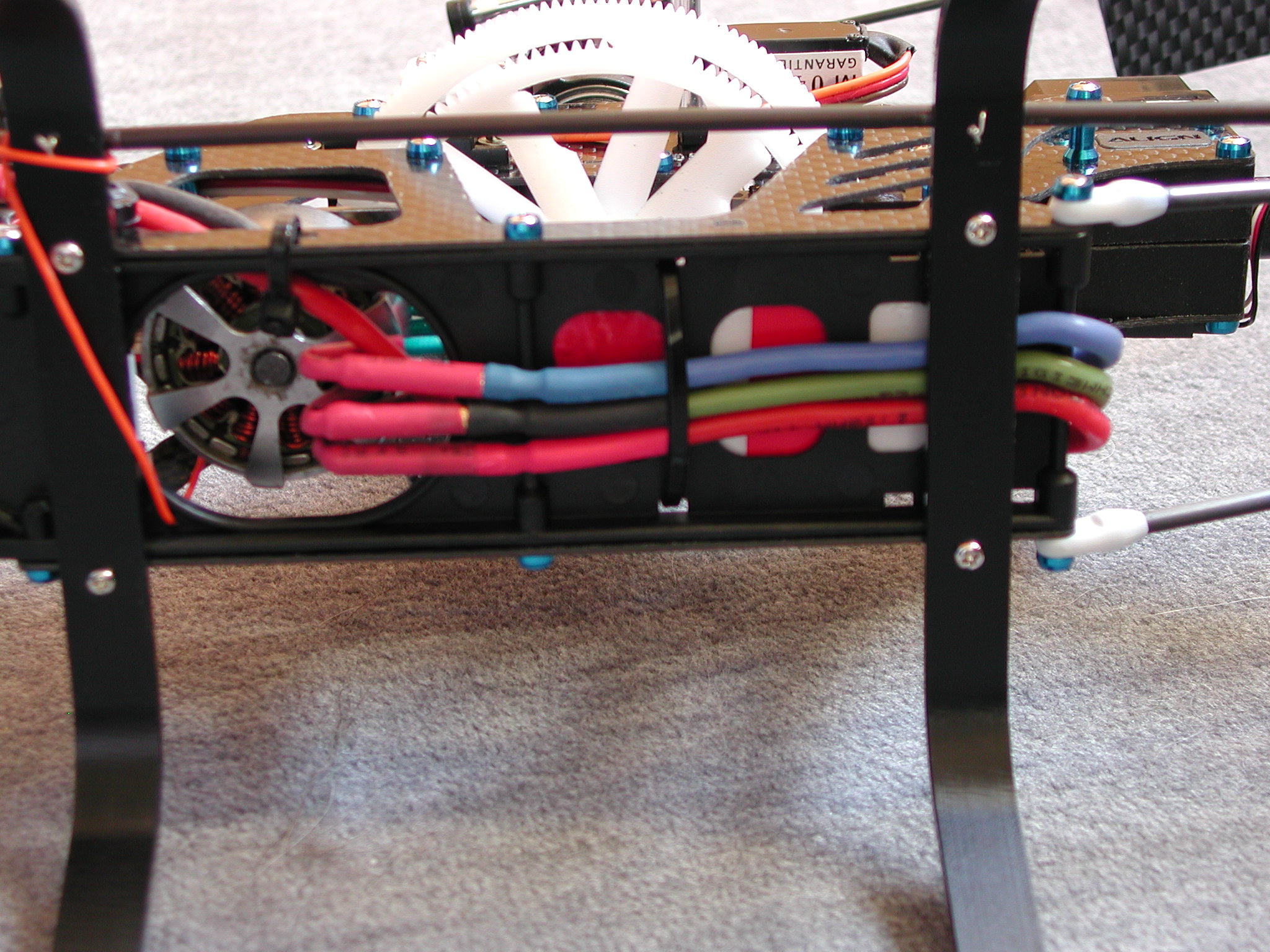 DSCN4526.JPG