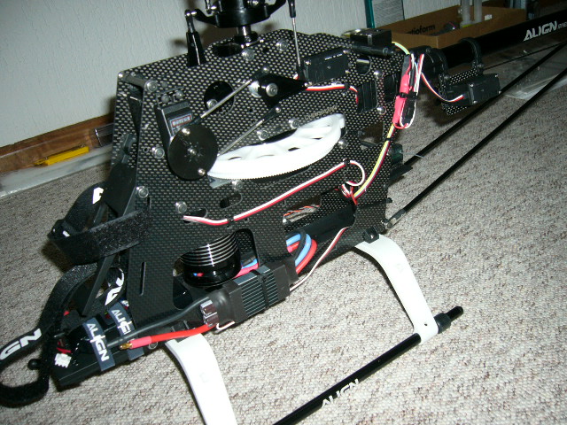 P1000830.JPG