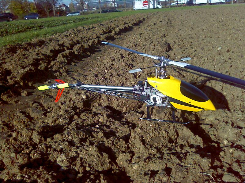 Holger mit Zahnfraß ...