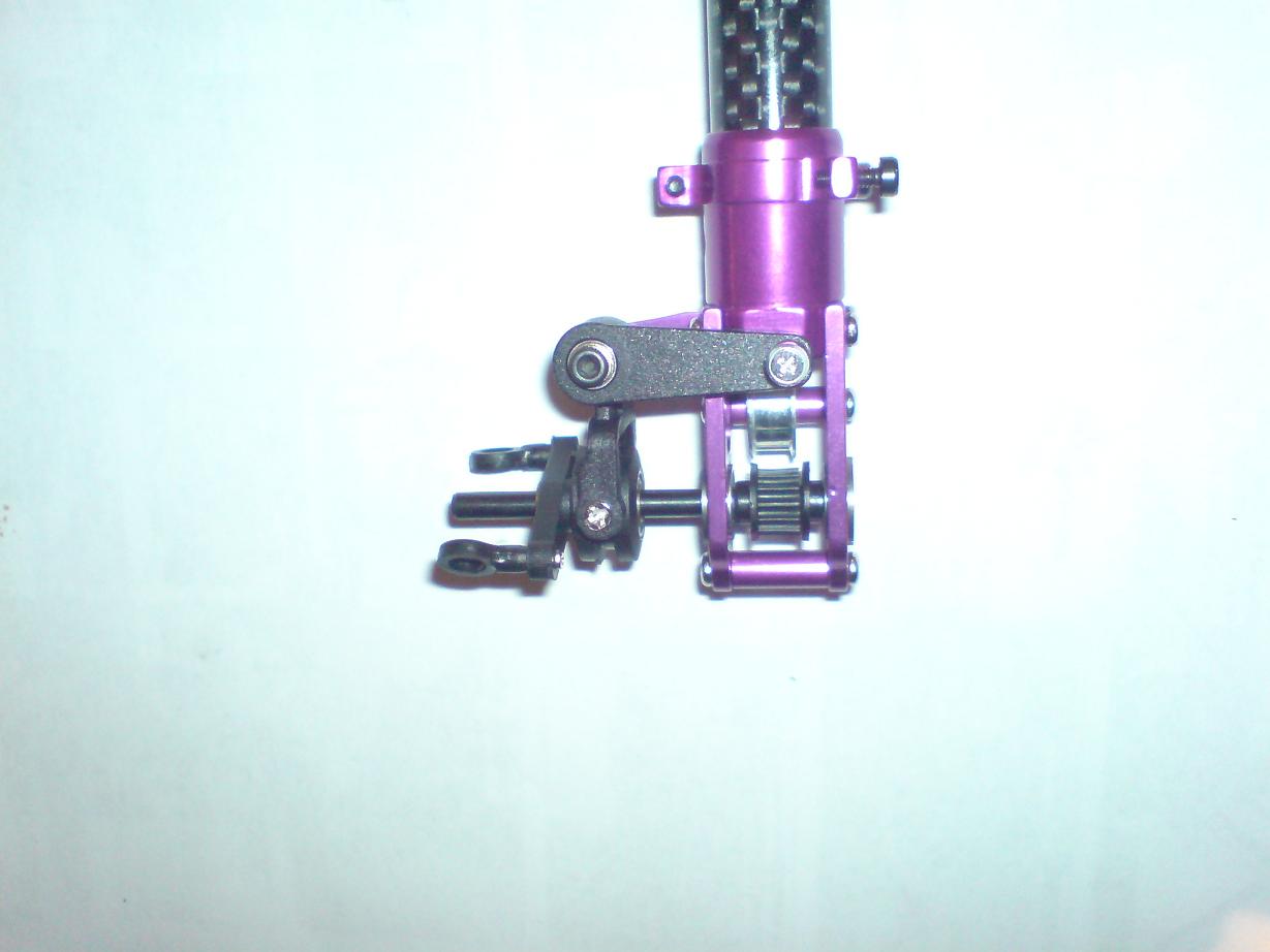 DSC02220.JPG