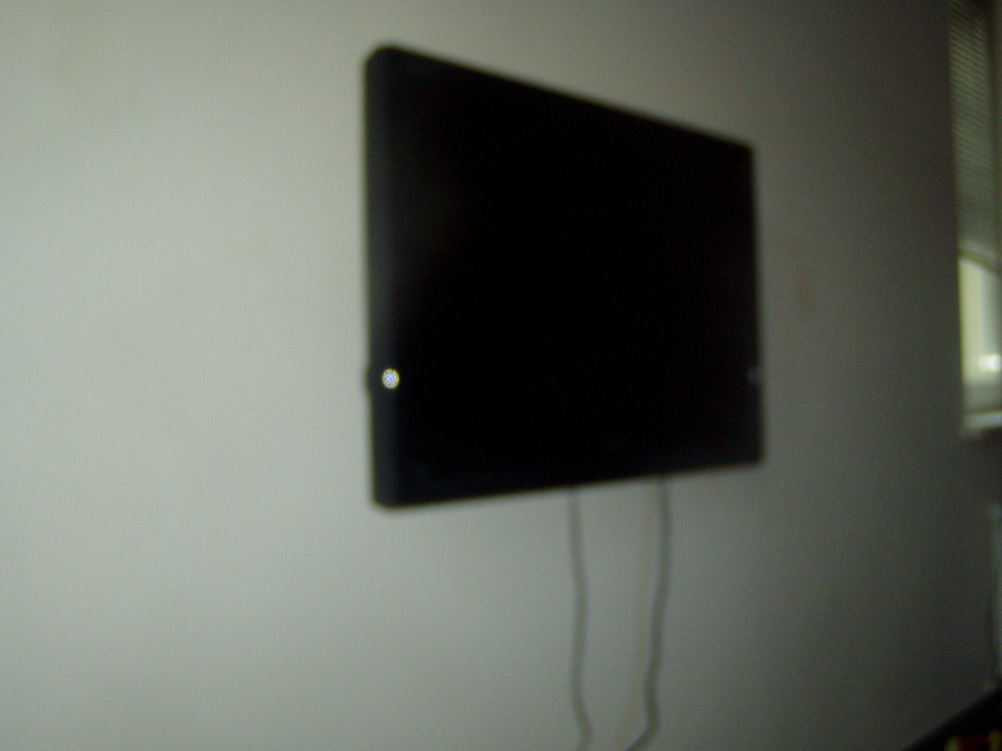 P1010025.JPG