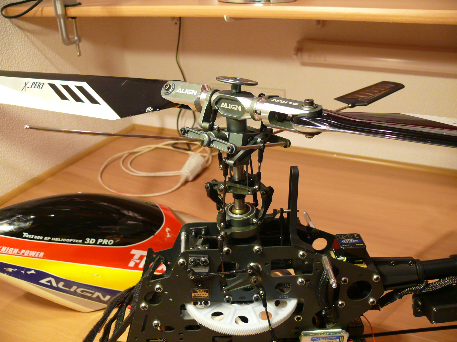 P1020541.JPG
