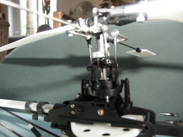 PICT0676.JPG