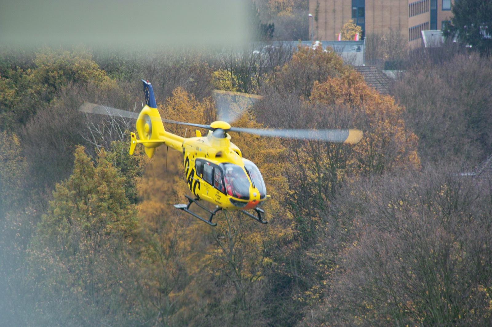 SDIM1355 Heli Herbst Wettbewerb.jpg