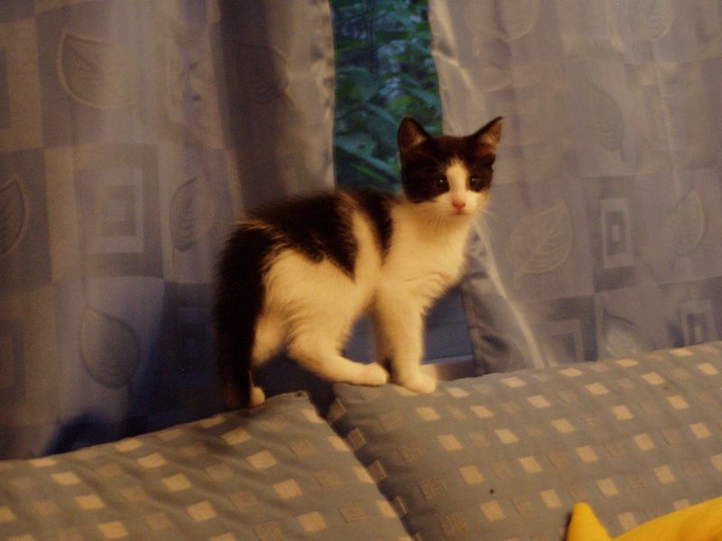 Klaus im September 2007