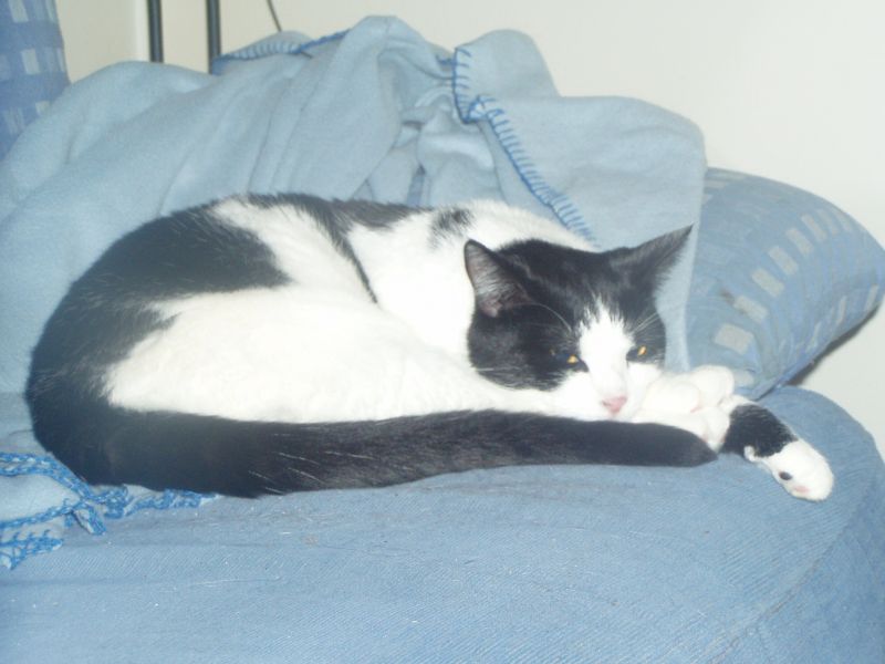 Klaus im November 2008
