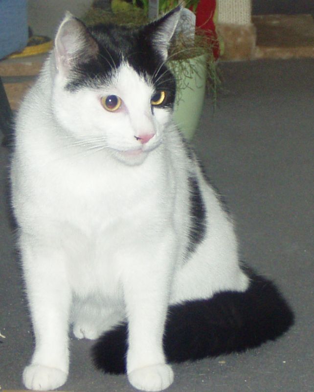 Uschi im Oktober 2008