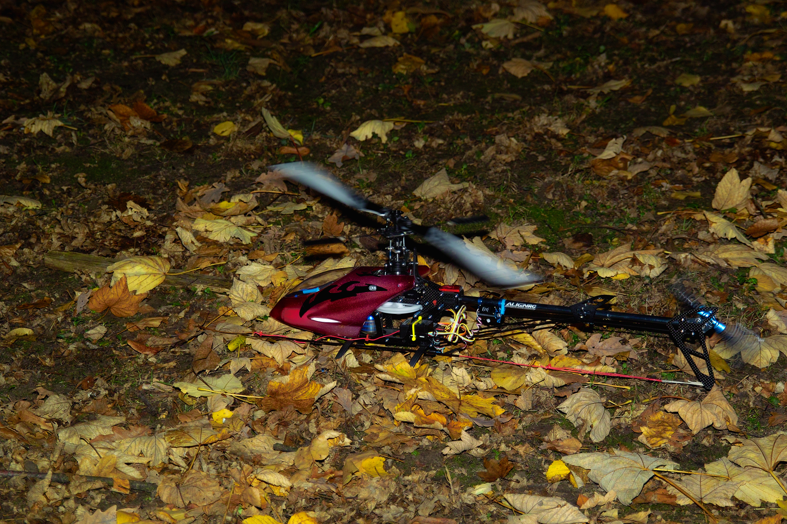 Herbststimmung