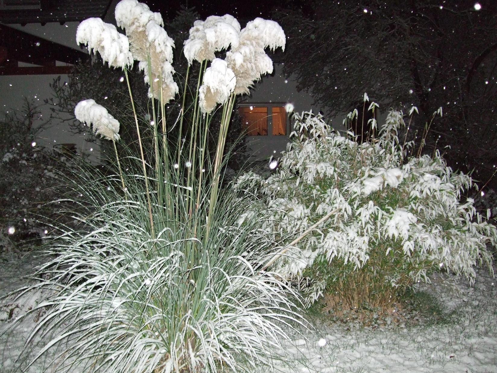 schnee.jpg