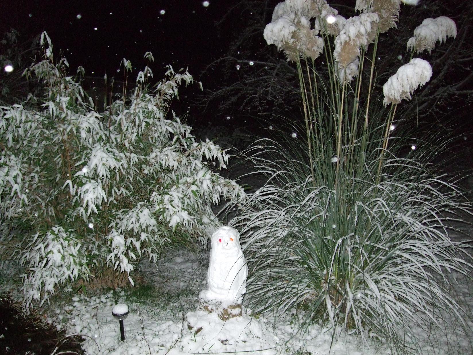schneeeule.jpg
