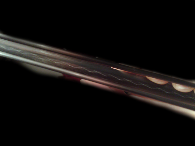 01122008256.jpg